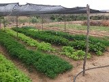 fotos_icaro_rodrigues_kits_fazenda_ze_alves-1