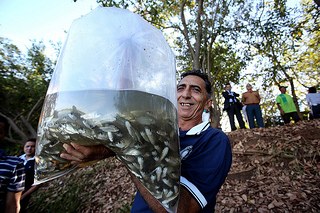 Peixamento no rio Parnaíba