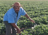 160-agricultor-familar-projeto-mandacaru-juazeiro