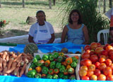 160feira-agricultura-famili