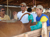 cursoinseminacao-site