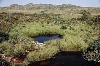 Parque Nacional da Serra da Canastra (MG)