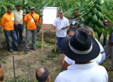 160dia_campo_pedra_branca_