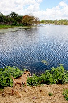 Barreiro do programa Água para Todos