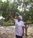 Cajucultura Alagoas 2