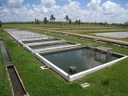 Piscicultura e Aquicultura
