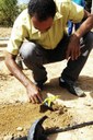 Plantio de Mudas2