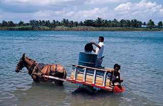 dhomé rio