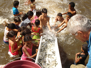 Peixamento 1