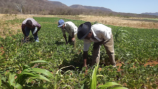 Kits de irrigação