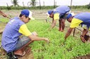 Projeto Amanhã