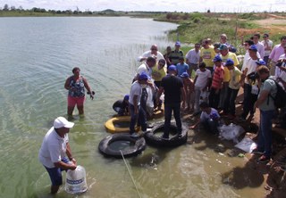 peixamento al