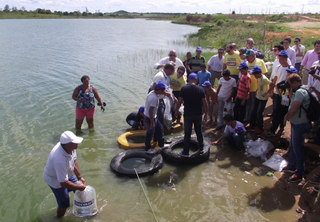 peixamento al