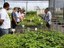 foto_cooperacao_sergipe_160