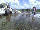 Peixamento em Alagoas