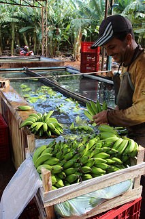 banana