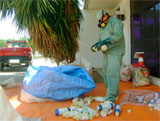 160_agrotoxicos