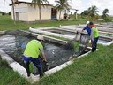 peixesal