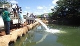 peixamento_200