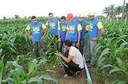 projeto_amanha_160