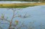 crads_160
