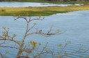 crads_160