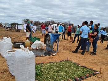 Dia de Campo