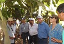 160_visita-ana-mg