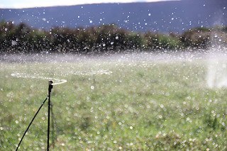 irrigação2