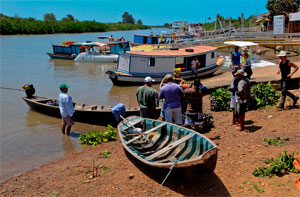 RIO PHB