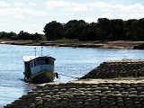 riosf