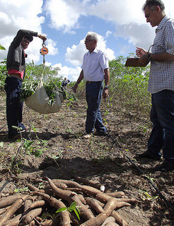 Dia de Campo em Alagoas