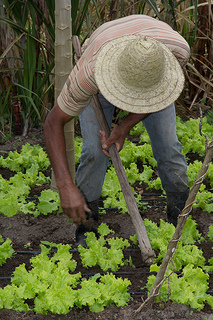 kit irrigação 3