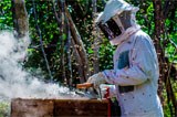 160_apicultura-pe