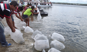 Peixamentos - Dia Mundial da Água