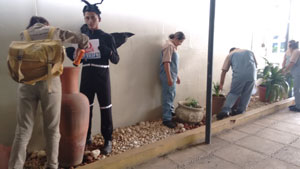 Teresina Dengue