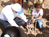 semana-meio-ambiente-divulgacao