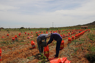 Agricultores