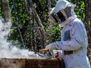 160-apicultura-codevasf