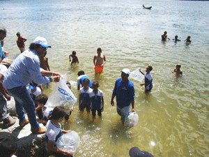 Peixamento Ilha das Flores