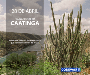 Caatinga