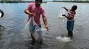 Peixamento em Alagoas