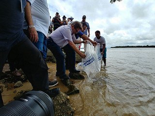 Peixamento em Sergipe