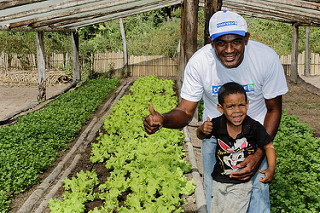agricultura irrigada