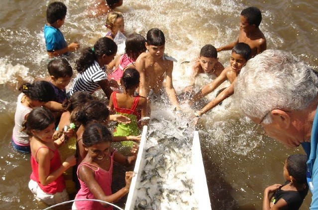 Peixamento Penedo