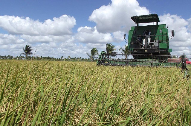 Capacitação de rizicultores