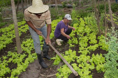 Kits de Irrigação