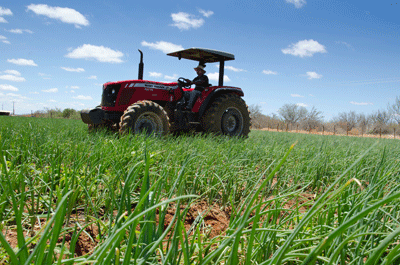 Exposição Agro Chapada