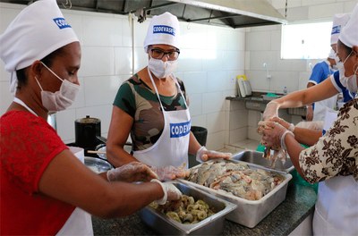 Curso piscicultores