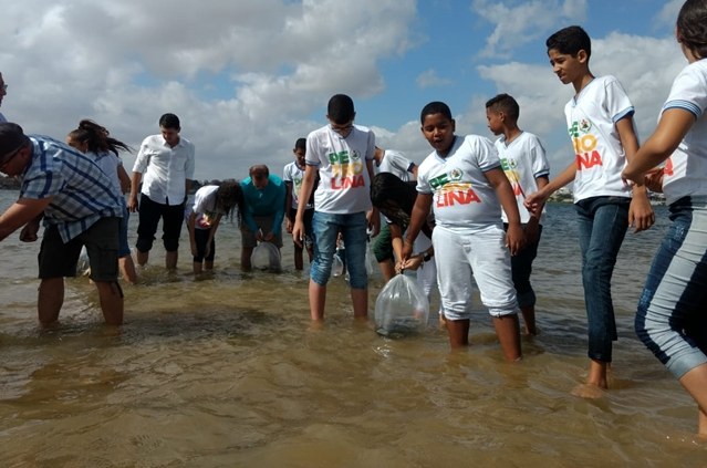 Peixamento Petrolina.jpeg